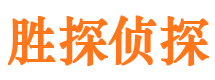 阳新侦探公司